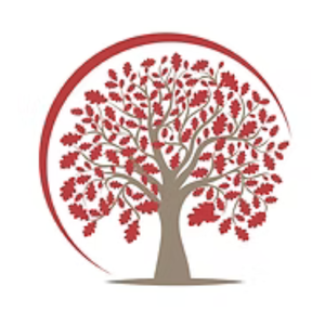 Team Page: Black Oak Baptist Church